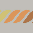 Special Livery Type B
